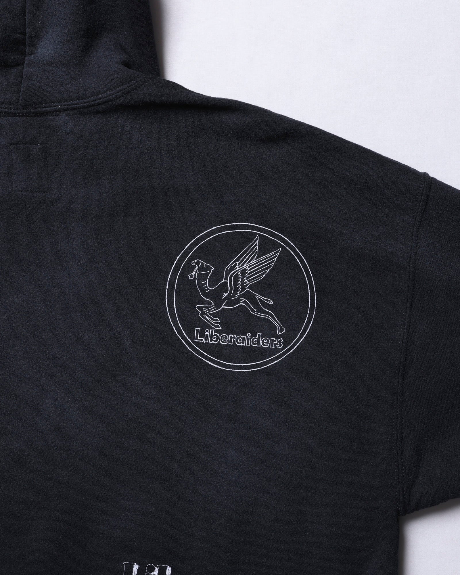 upload_20250605_HANDWRITING PRINT HOODIE_015_16_77311_c010_45.jpg