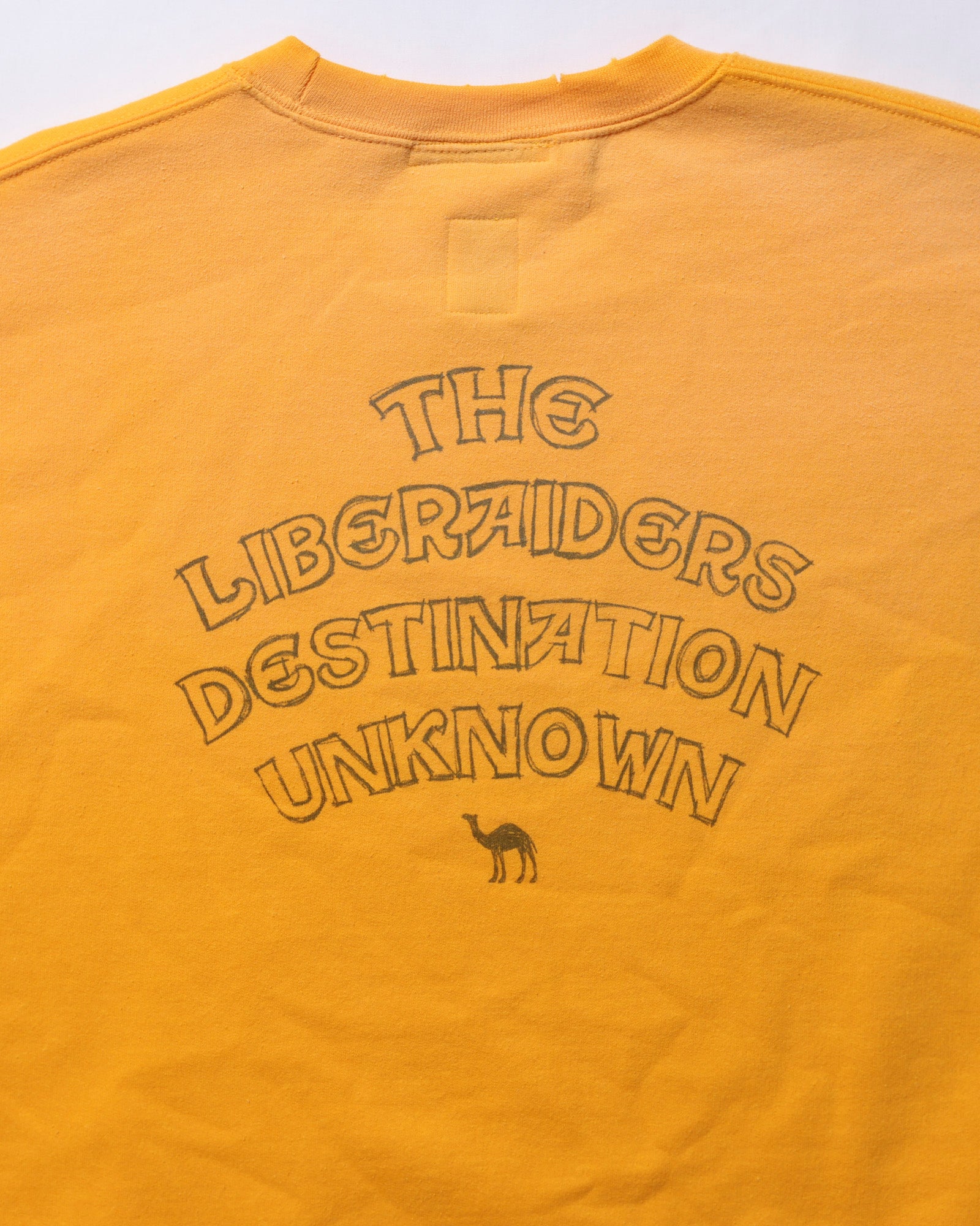 upload_20250605_SAHARA CREWNECK_008_09_77314_c003_45.jpg