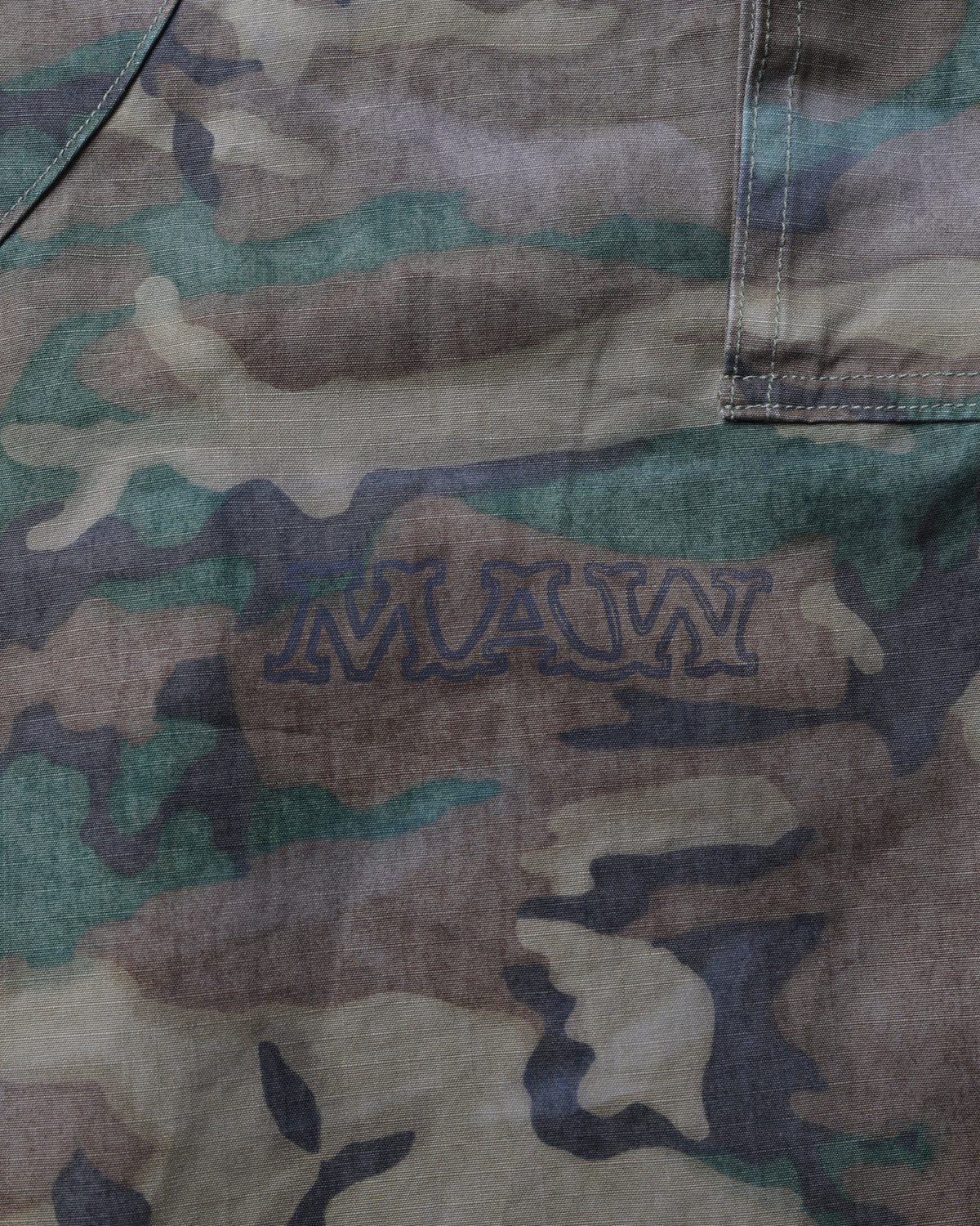 DAMAGED BDU PANTS