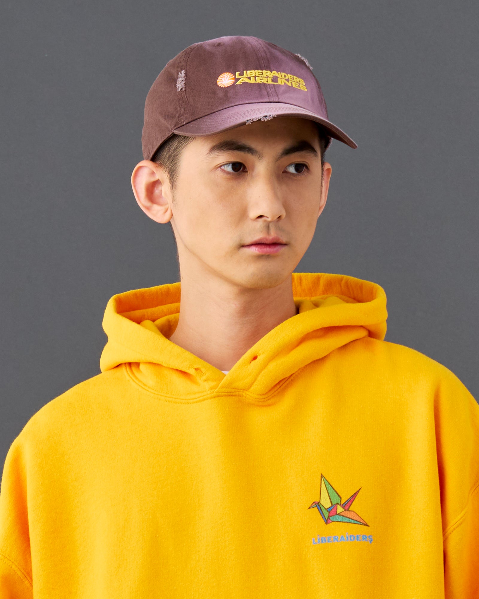 FADED AIRLINE CAP