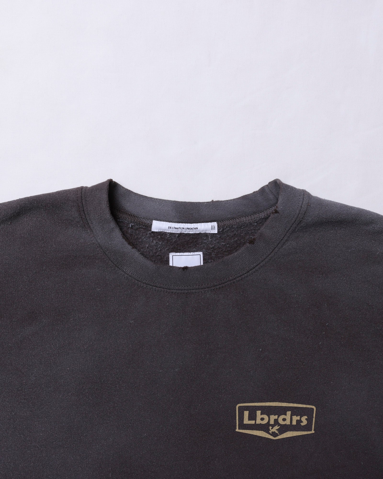 upload_20250605_CIRCLE LOGO CREWNECK_017_18_77315_c014_45.jpg