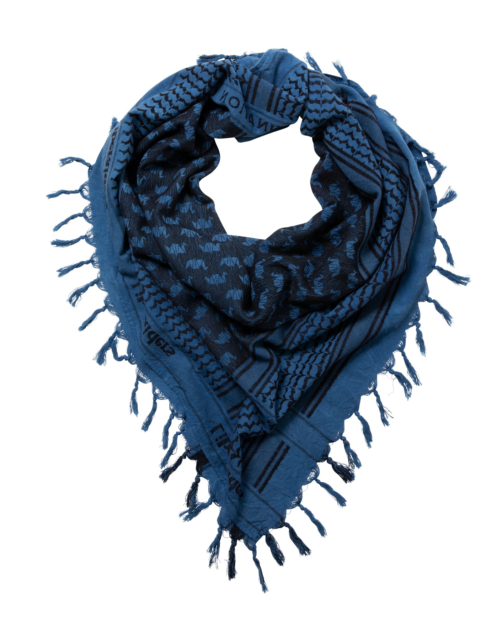 upload_20250605_UNEVEN DYED LR JACQUARD STOLE_000_01_77906_a004_45.jpg